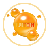 Lutein
