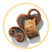 Magnolia Bark Extract