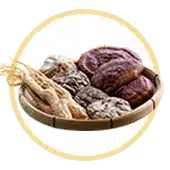 Champignons médicinaux