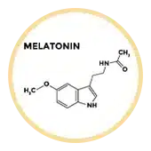 Melatonin