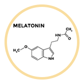 Melatonin