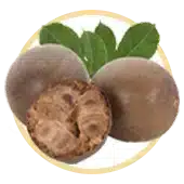 Mönchfrucht