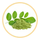 Moringa