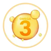 Les acides gras omega-3