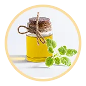 Oregano Oil Extract