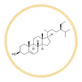 Phytosterols