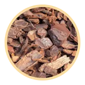 Pine Bark Extract