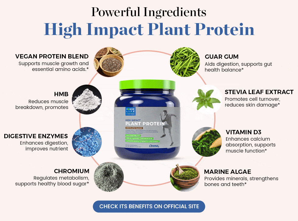 Ingredientes potentes proteína vegetal de alto impacto