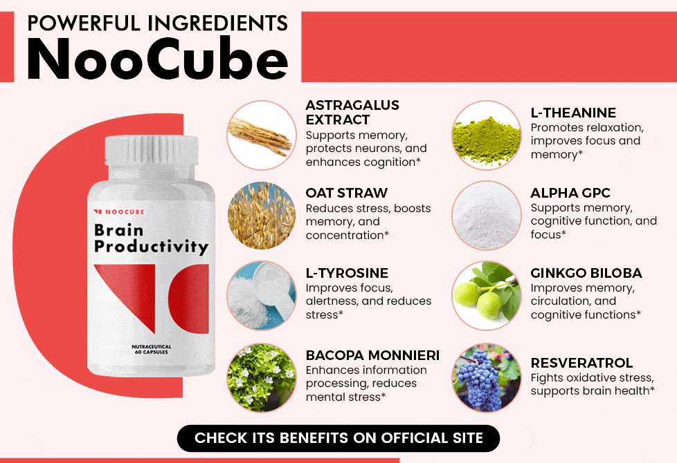 Ingredientes potentes Noocube