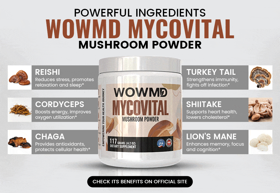 Leistungsstarke Zutaten Wowmd Mycovital Pilzpulver