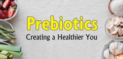 prébiotiques
