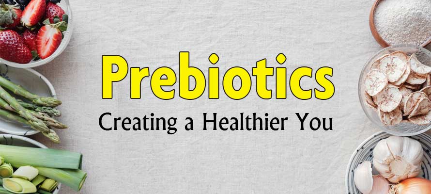 prébiotiques