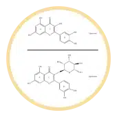 Quercetin