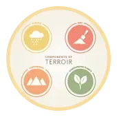 Growing Region and Altitude