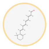 Retinaldehyde (Retinal)