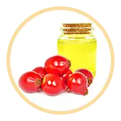 Rosehip Oil