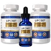 Revisión del sistema Shred Phase