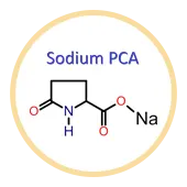 Sodium PCA