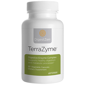 Zutaten von DigestZen TerraZyme