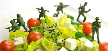 The Military Diet: A Step-By-Step Beginner’s Guide to the 3-Day Plan