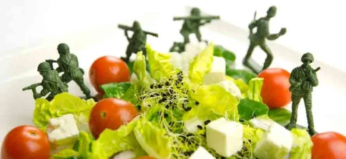 The Military Diet