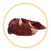 Turkey Liver