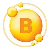 B-Vitamine