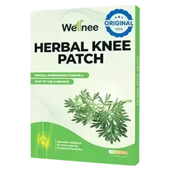 Wellnee Pain Relief Patch