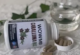 wowmd caralluma max tester 2